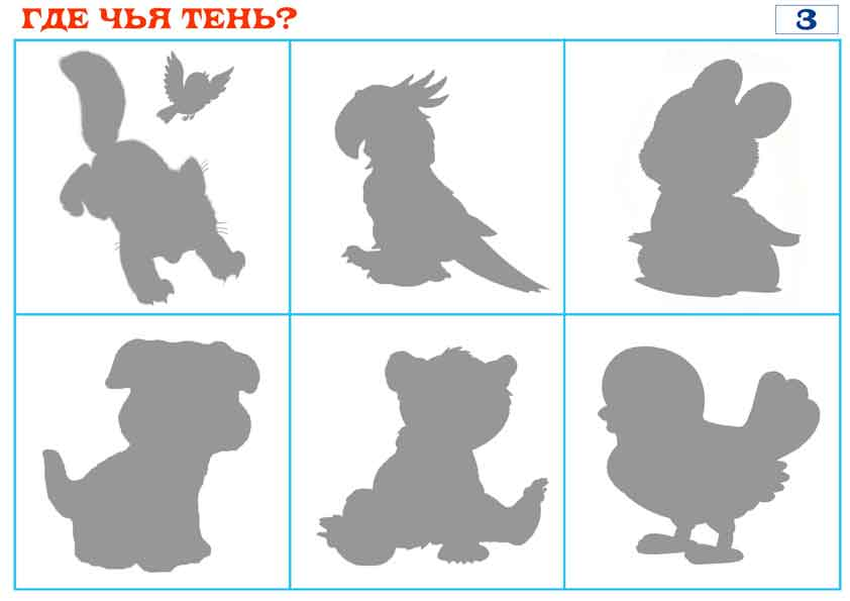 Дидактическая игра чья тень Интерактивная игра найди тень