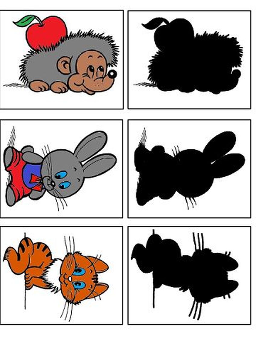Чья тень картинки для детей
