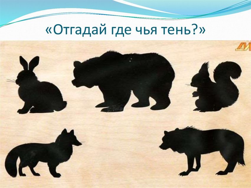 Чья тень картинки для детей