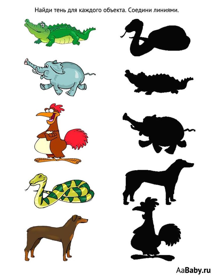 Найди тень Игра найди тень