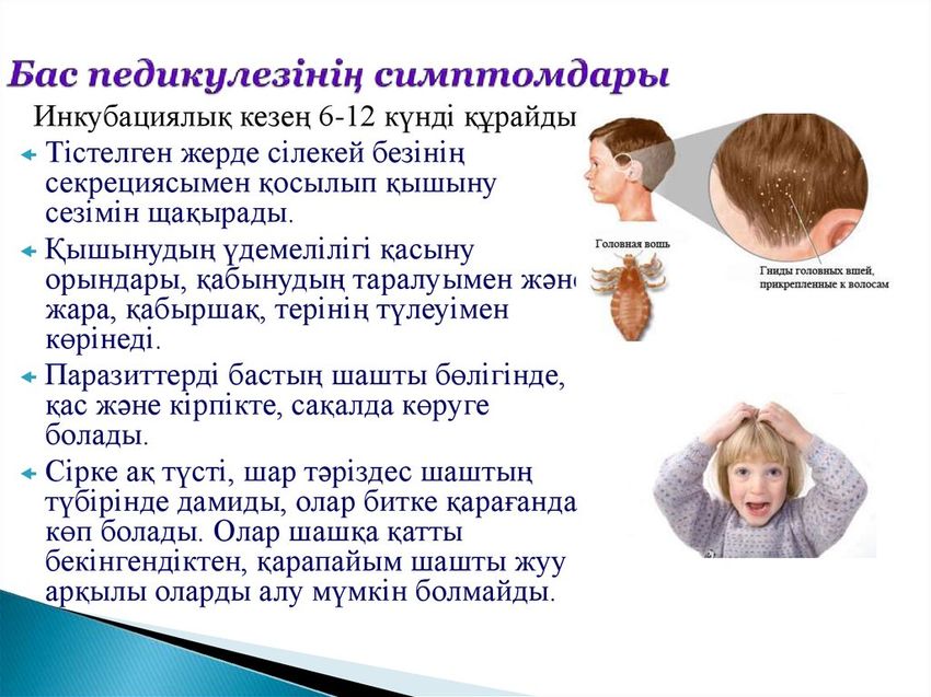 Педикулёз Профилактика педикулеза