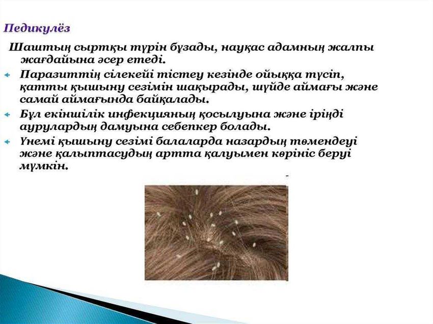 Педикулёз Что такое педикулез у детей