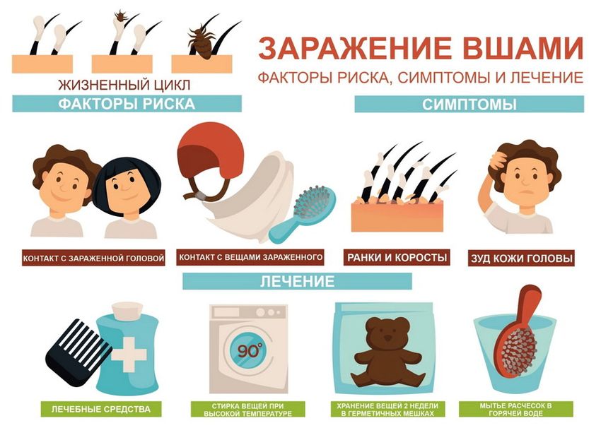 Профилактика педикулеза Симптомы педикулеза