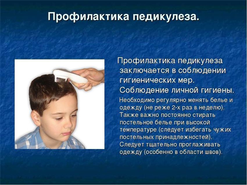 Профилактика педикулеза Педикулёз