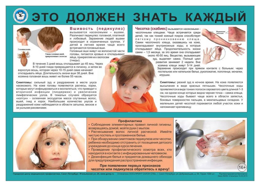 Профилактика педикулеза у детей Педикулез памятка