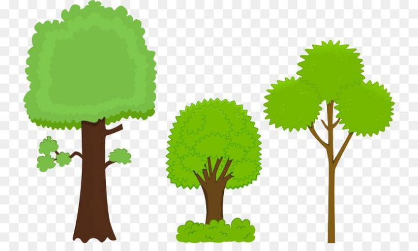 Дерево для детей Дерево