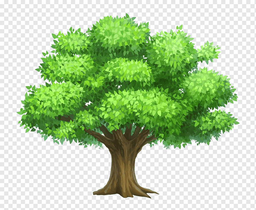 Дерево мультяшное Дерево