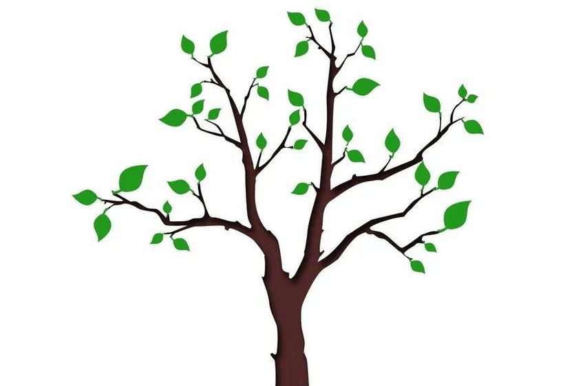 Дерево с веткой Ветка дерева мультяшная