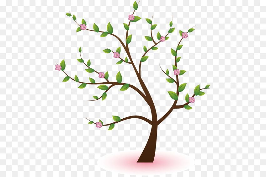Дерево вишня вектор Дерево на прозрачном фоне