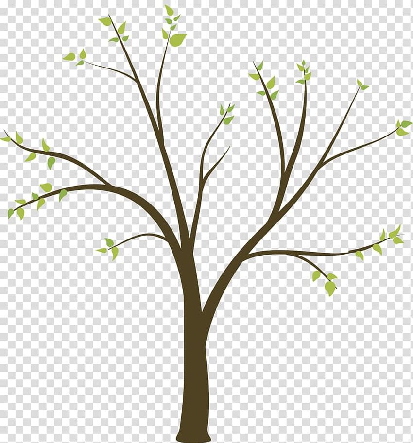 Дерево клипарт Векторное дерево