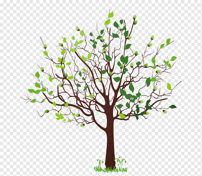 Дерево рисунок Клипарт дерево