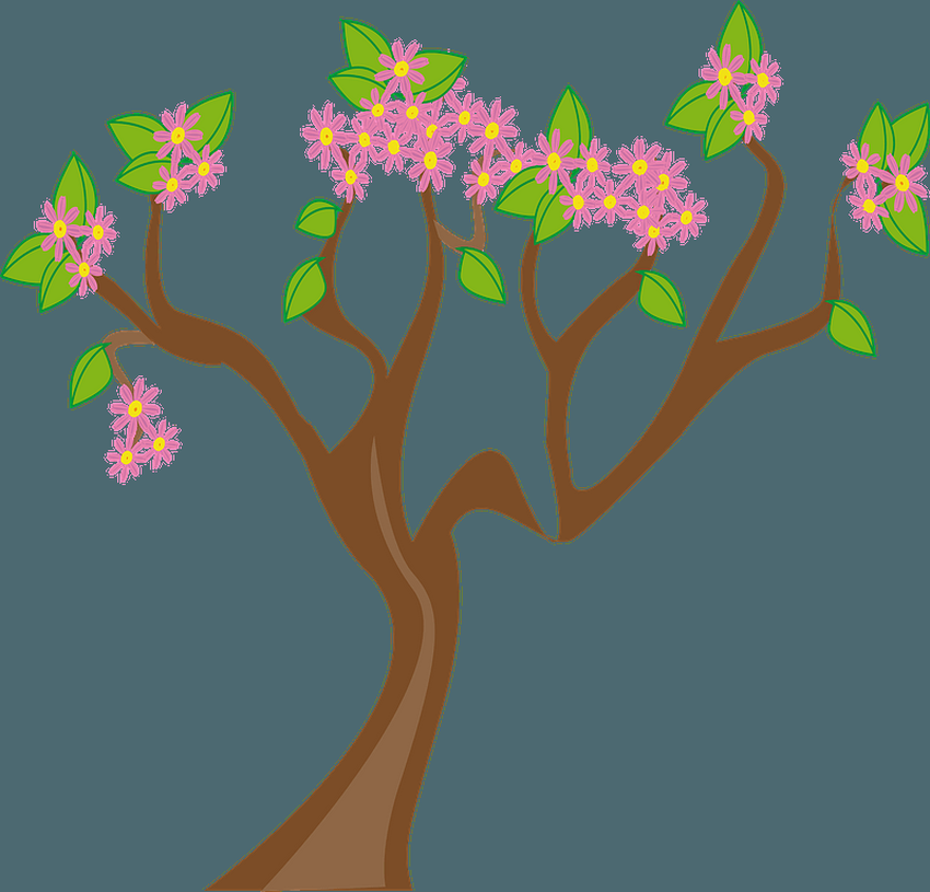 Цветущее дерево для детей Дерево весной