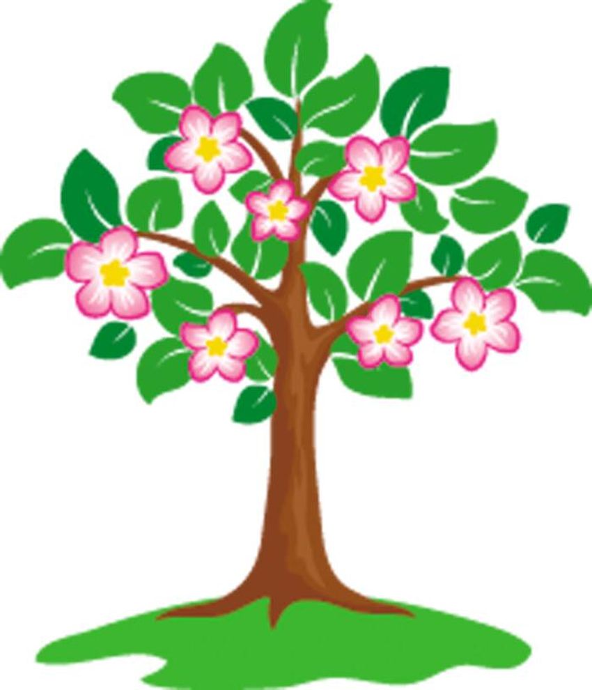 Яблоня дерево Дерево для детей