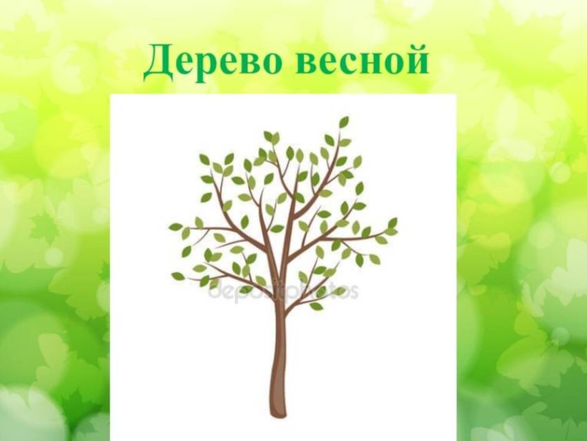 Деревья весной Дерево весной рисунок