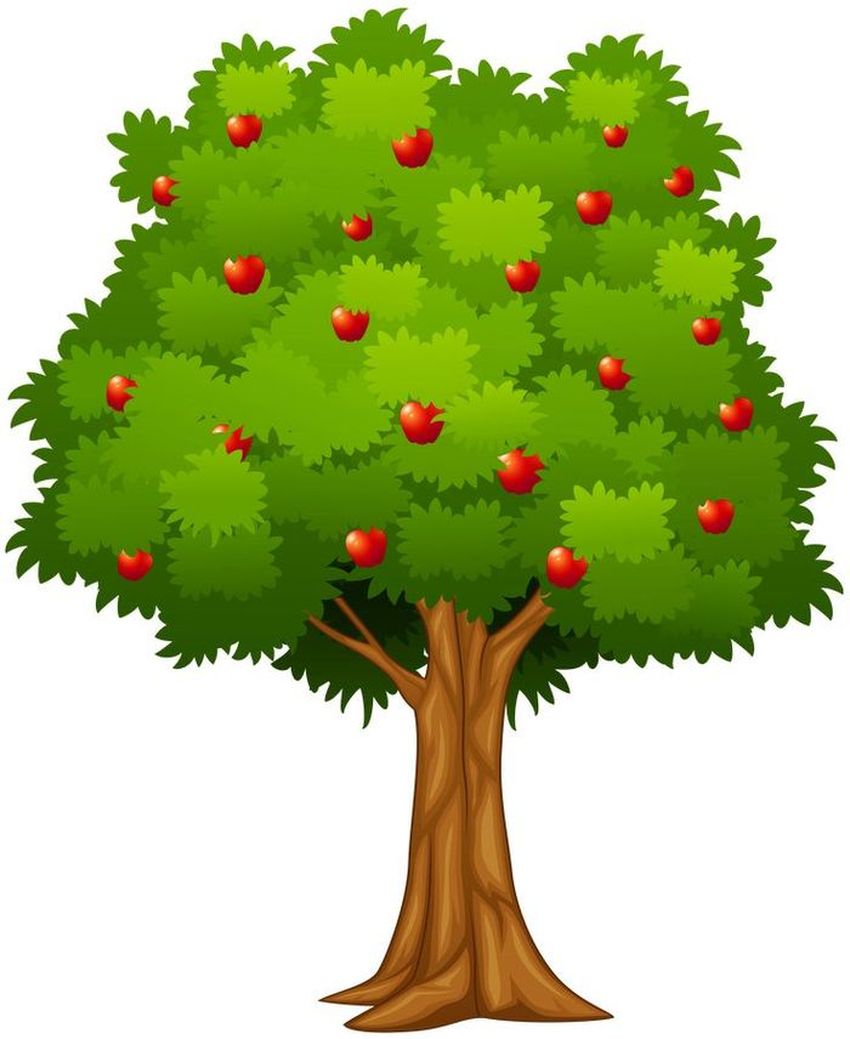 Дерево с яблоками