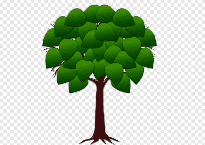 Дерево зеленое