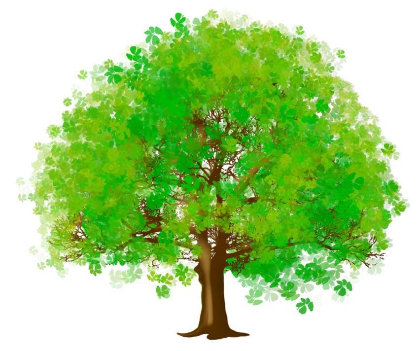 Дерево куст