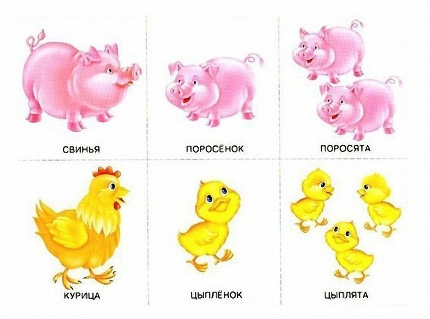 Карточки животные и их детеныши