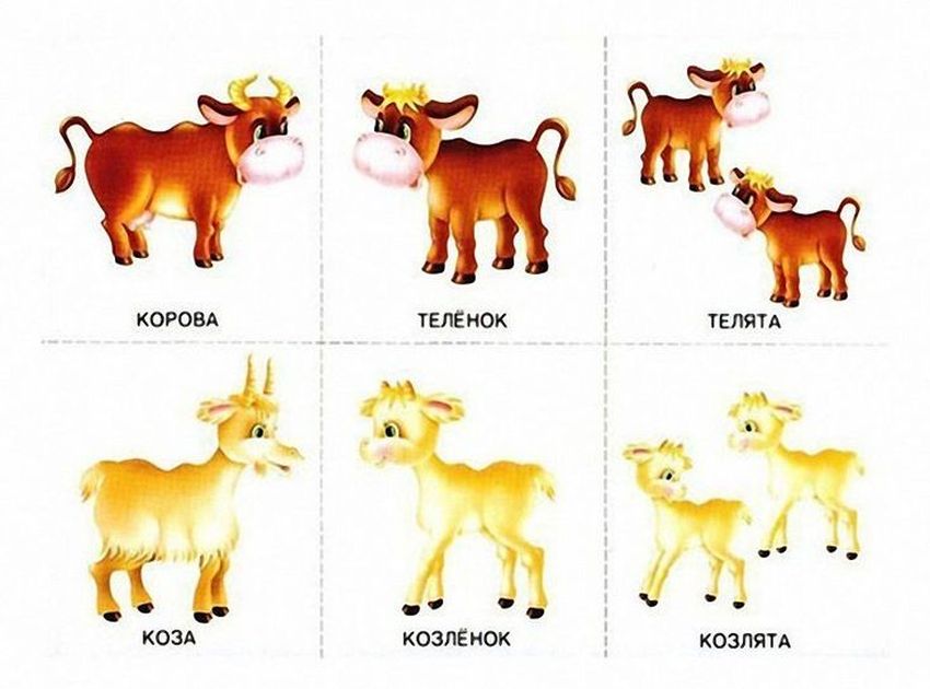 Карточки для детей корова