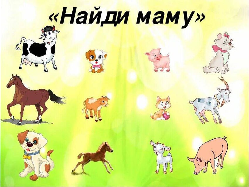 Домашние животные для детей