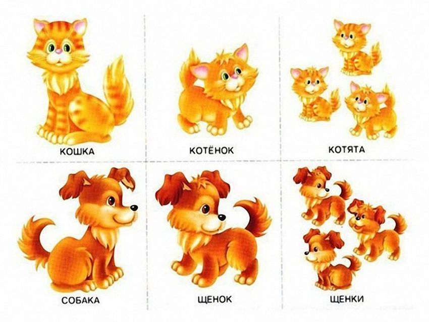 Животные для малышей