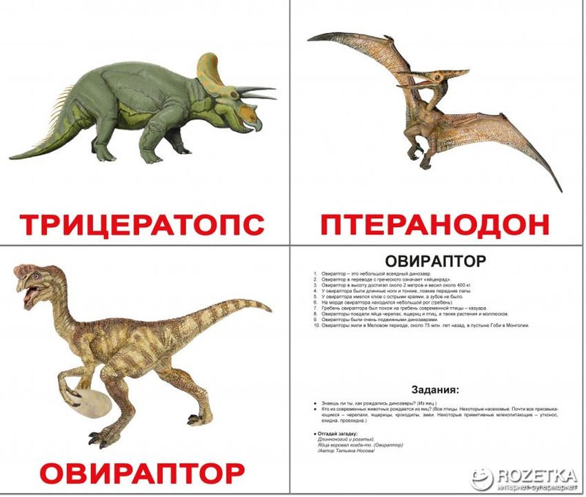 Овираптор динозавр