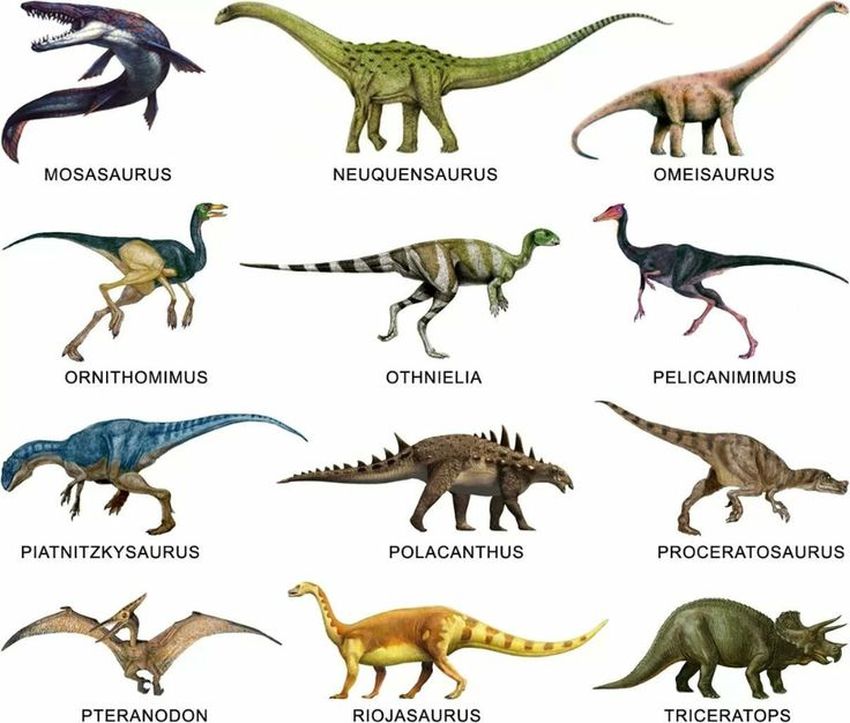 Динозавры с названиями