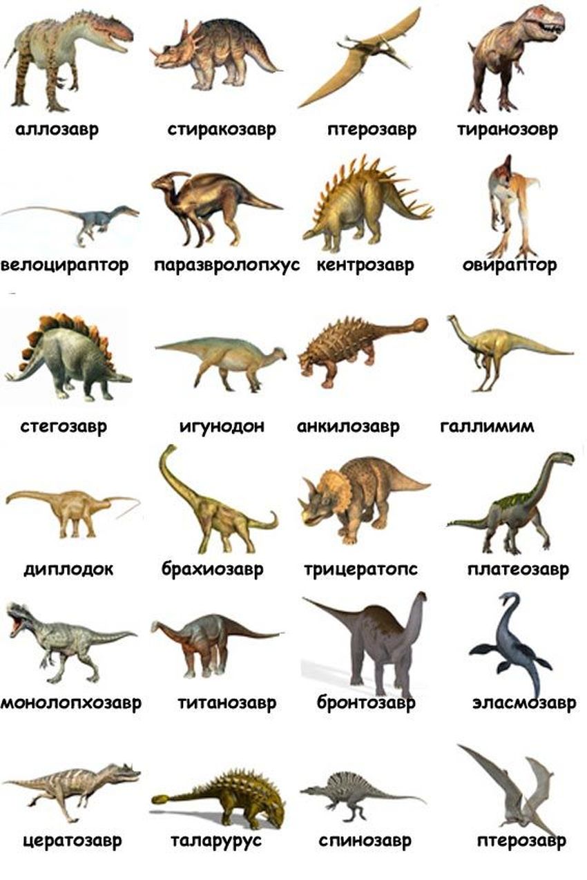 Имена динозавров