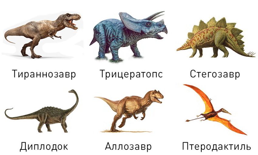 Динозавры виды