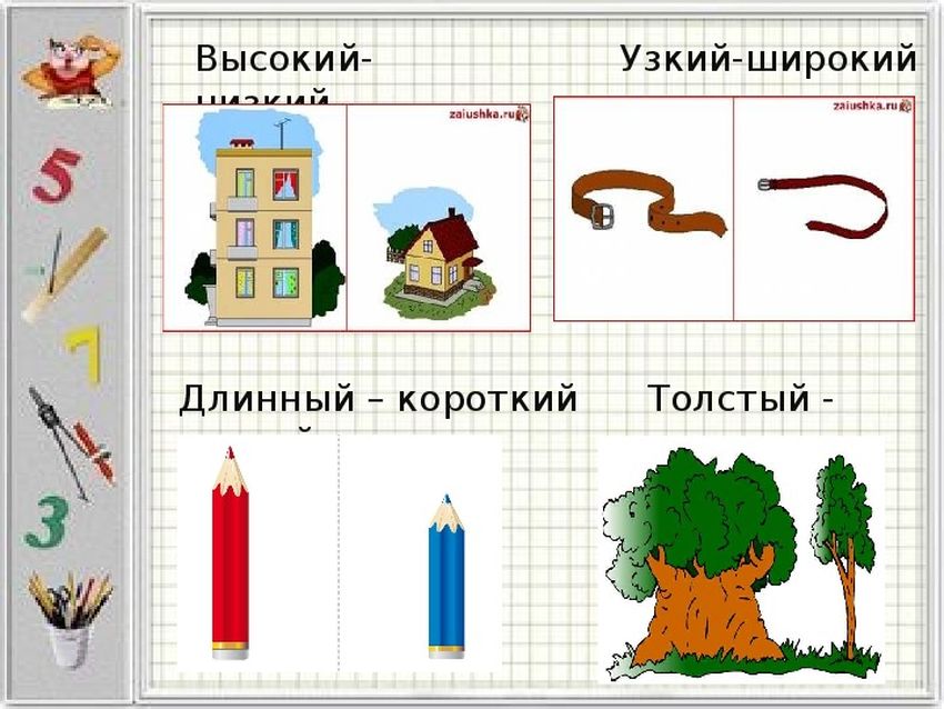 Понятия длинный короткий для дошкольников