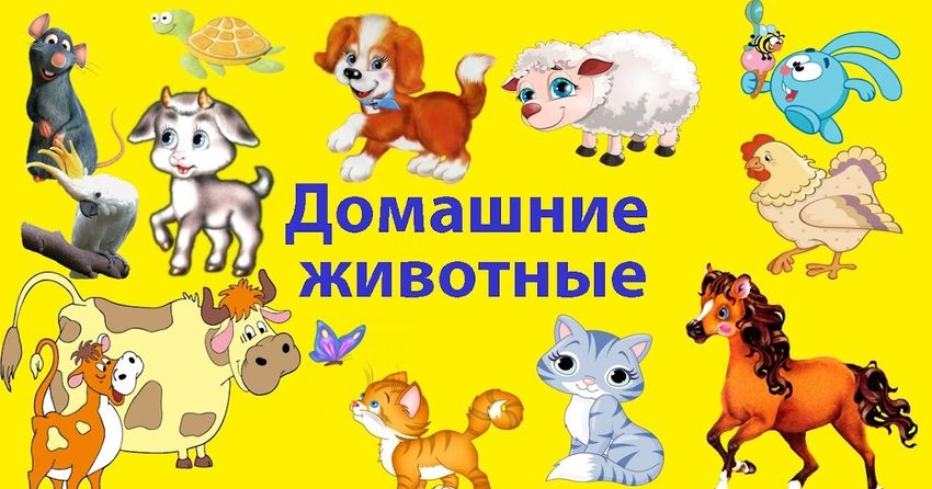 Домашние животные для детей