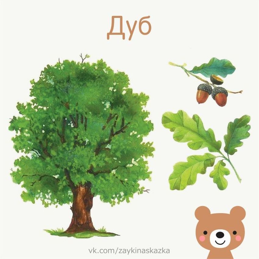 Дерево для детей