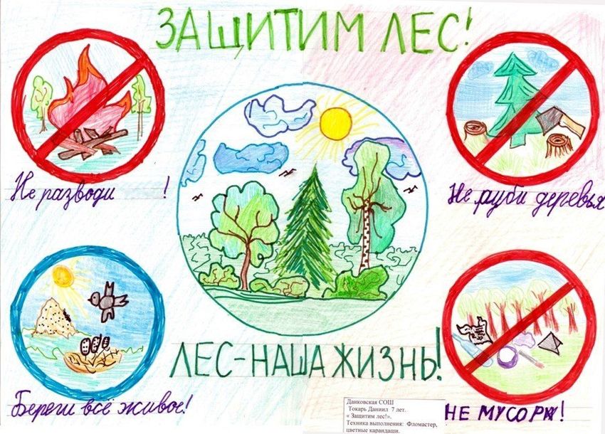 Плакат охрана леса