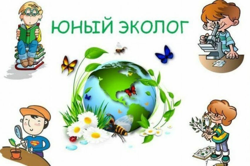 Экология для детей