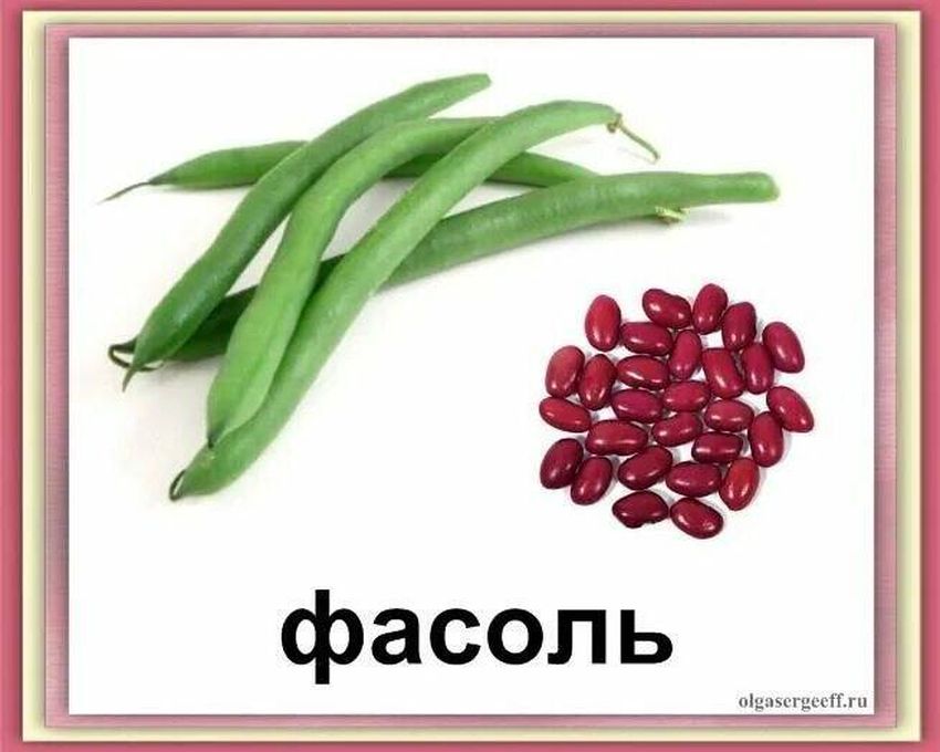 Фасоль