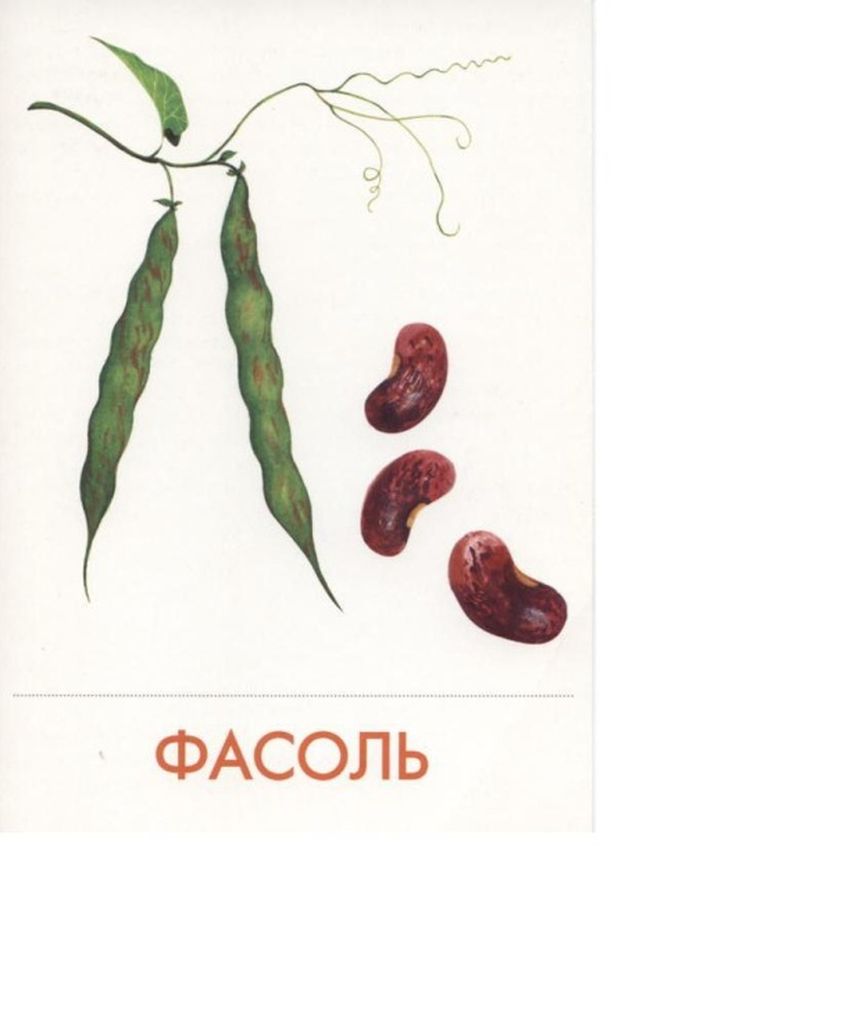Фасоль для детей