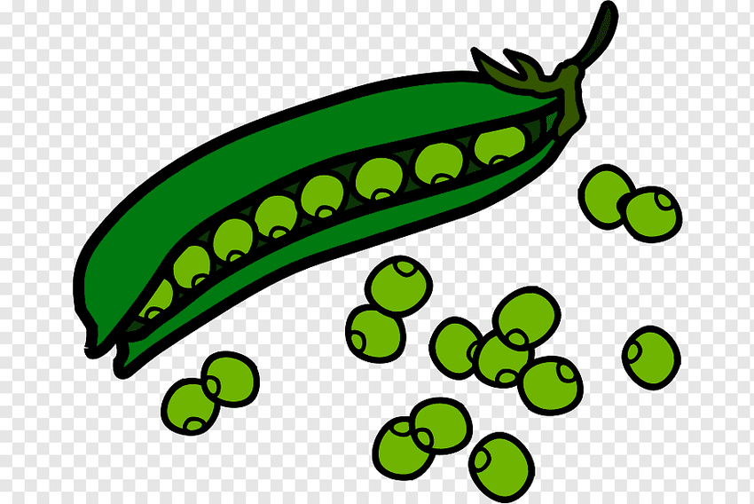 Рисунок гороха Горох рисунок для детей
