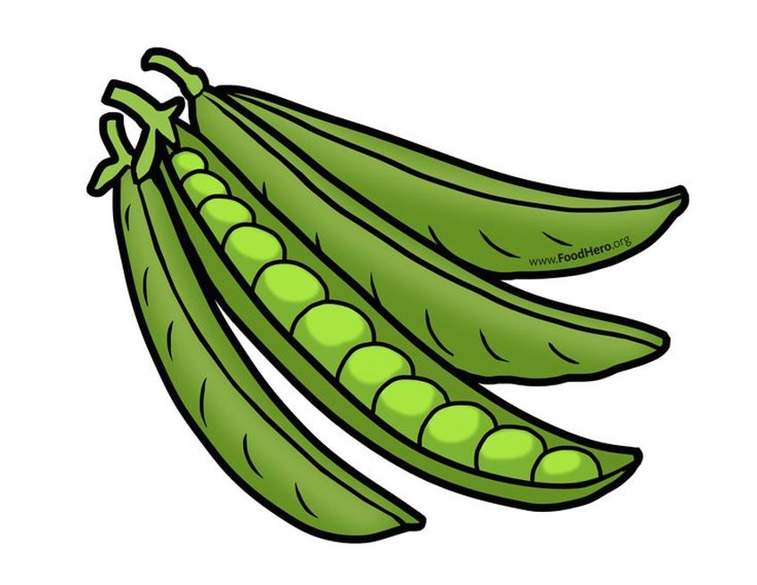 Горох рисунок для детей Рисунок гороха