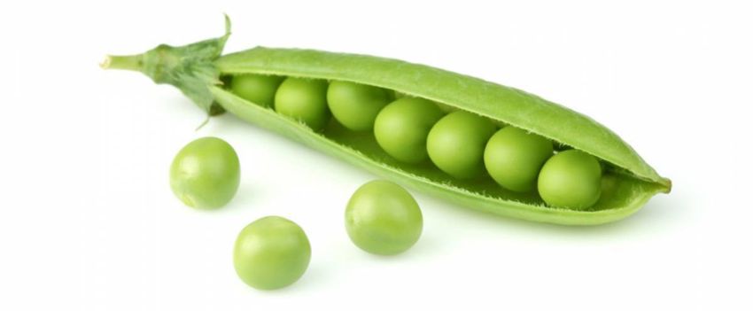 Горох Горох на белом фоне
