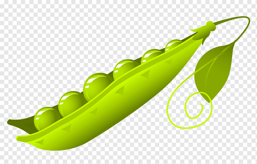 Горох на прозрачном фоне Стручок гороха