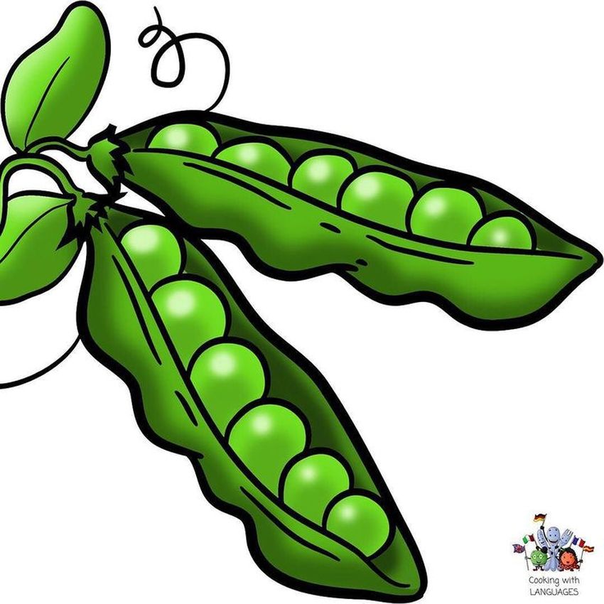 Рисунок гороха Горох рисунок для детей