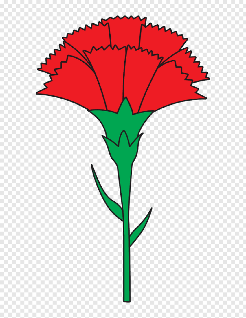 Рисуем гвоздику