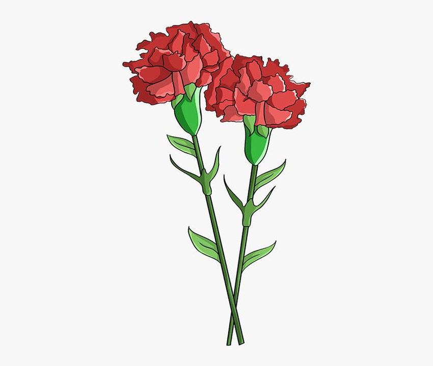 Гвоздики рисунок для детей