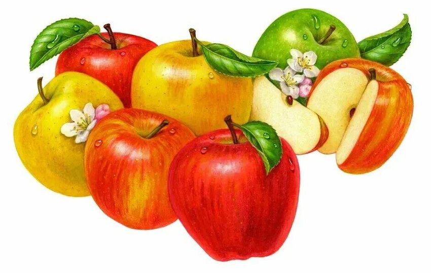 Apple fruit