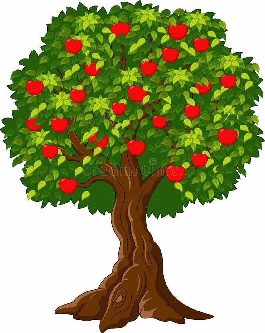 Дерево яблоня
