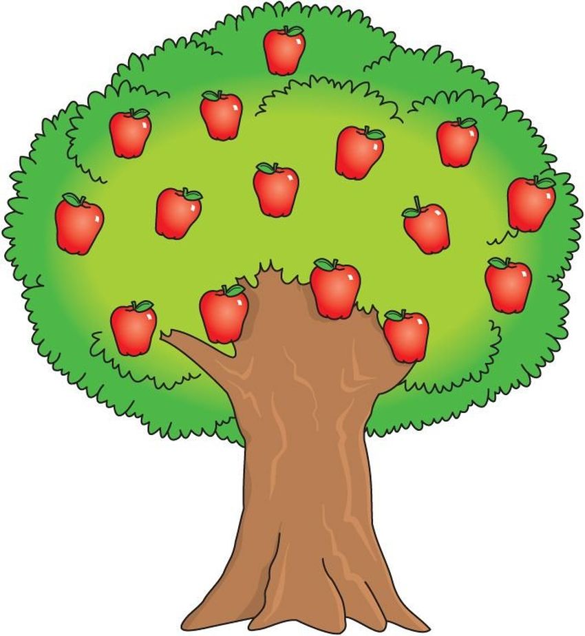Рисунок яблони