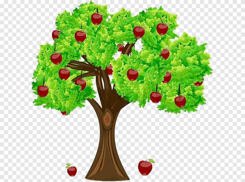 Яблоня дерево пмг