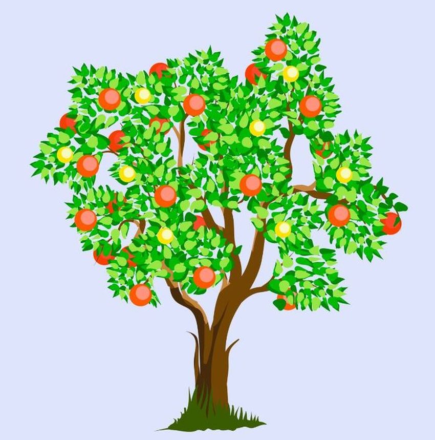 Дерево яблоня на прозрачном фоне