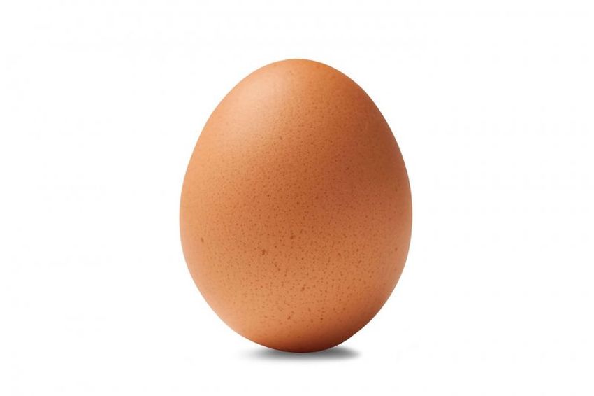 Яйцо куриное