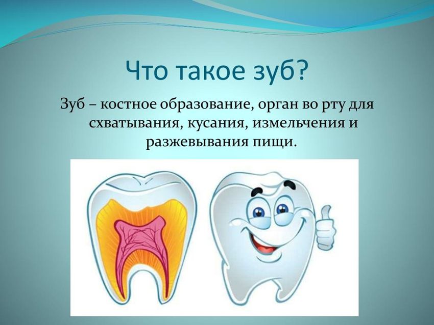 Зубы